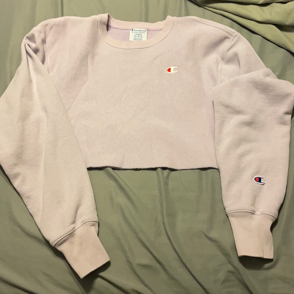 Large cropped champion sweater